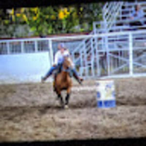 Meet your Posher, Ava